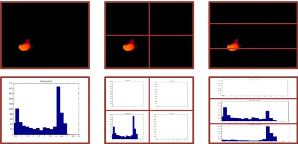 Figure 2.2: Optical flow based overlapping spatial pyramid histograms for a footstep event