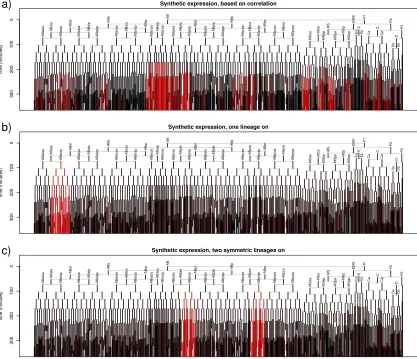Figure 2-2: Examples of synthetic expression patterns used to measure accuracy.