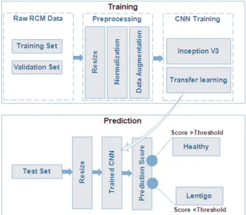 Fig. 2: The CNN architecture model.