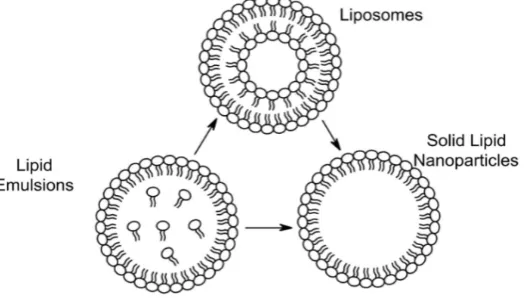 Table 1: Comparison property of SLN, polymeric nanoparticles, liposomes, lipid emulsion  