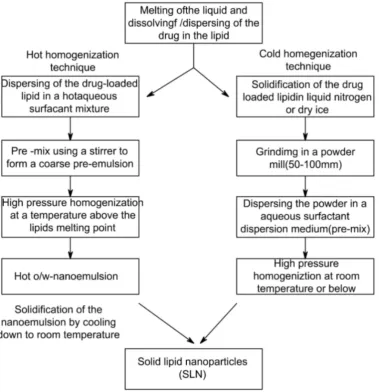 Figure 3: Schematic representation of SLN preparation by hot and cold homogenization 