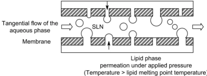 Figure 5: Formation of SLN by solvent injection method 