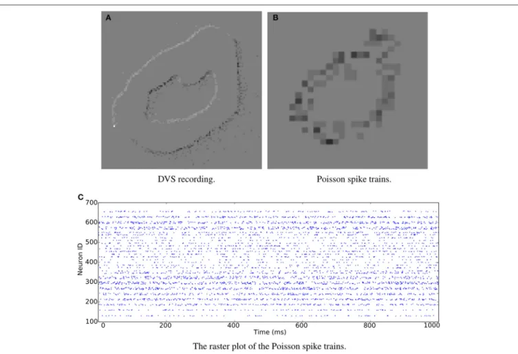 FIGURE 1 | Snapshots of the jAER software displaying spike-encoded videos. The same image of digit “0” is transformed into spikes by (A) DVS recording and (B) Poisson generation