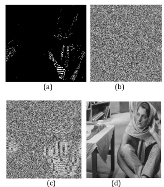 Fig - 5: Illustration of our proposed EPE – MHCRDH   method on the test image Barbara (512 x 512), (a) Binary 