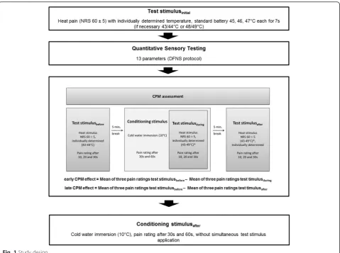 Fig. 1 Study design