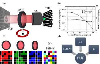 Figure 1:Extracting unique information from 2D materials.(a):Measurementapparatus, in which the photoluminescence from a monolayer TMDC is collected by anobjective lens (OL), selectively transmitted through a rotatable optical bandpass ﬁlter(BPF), ﬁnally i