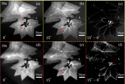 Figure 3: Angular-dependent PL images of WS2 monolayer ﬂake, excited by 450 nmlaser, collected using 50x (a)-(c) and 10x (d)-(f) respectively