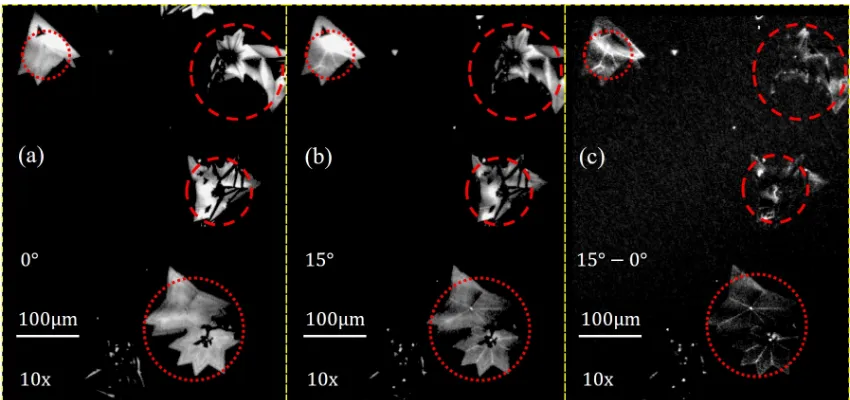 Figure 4: Angular dependent PL images of WS2 monolayer ﬂake, excited by 450 nmlaser, imaged by a 10x objective lens, showing multiple ﬂakes in the ﬁeld of view thatrespond to rotations of the bandpass ﬁlter
