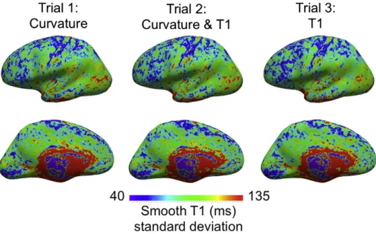 Fig. 12. Comparison of the average central cortical surface across 10 subjects using MMSR for three different contrast combinations