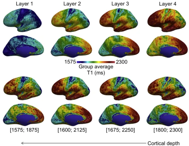 Fig. 14. Group average (N = 10) (0.5 mm) 3 T1 map at four cortical depths. The T1 maps were registered using MMSR with T1 contrast only
