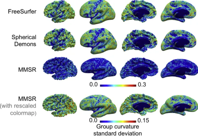 Fig. 6. Comparison of the group standard deviations in mean curvature mapped onto the average white matter surface for the three registration techniques