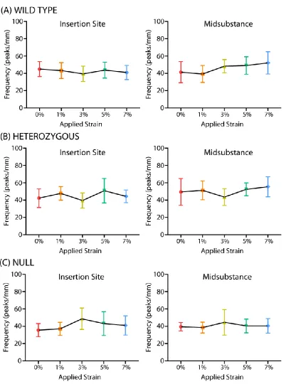 Figure 3-10. Crimp frequency over applied strain for (A) wild type, (B) heterozygous, and (C) null tendons