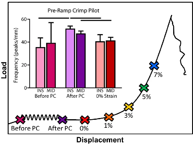 Figure 3-11. Crimp frequency data for additional pilot points: Before preconditioning (PC), after preconditioning, and 0% applied strain