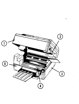 Figure 2.3 Raised View 