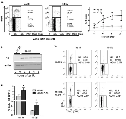 Figure 3. Overexpression of non-regulated D3 causes an increased number of pre-B cells to fail cell cycle arrest after IR