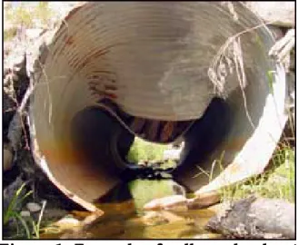 Figure 1. Example of collapsed culvert  (www.mnr.gov.on.ca/images) 