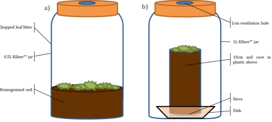 Figure 2.2. Microcosm designs for a) experiments using air-dried homogenised soil samples only 