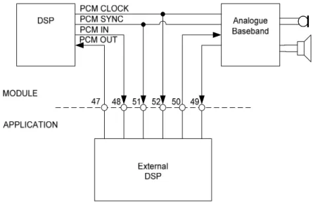 Fig B: GR4x implementation showing the PCM interfacing with an external DSP 