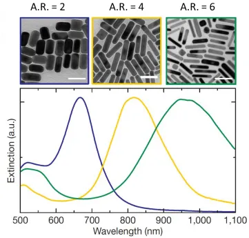 Figure 1.4 SEM image of aspect ratio (A.R.) 2 (blue), 4 (yellow), and 6 (green) and their 