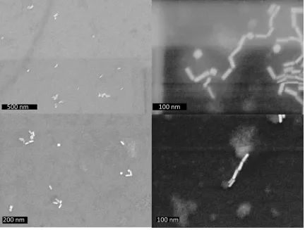 Figure 2.3 Scanning electron micrographs of AuNRs end-linked with cysteine. Samples 