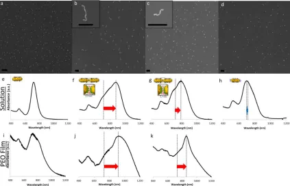 Figure 2.5  Representative SEM images of B-NRs unlinked (a), linked with C6DT (b), 