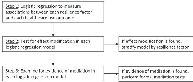 FIGURE 1Analysis plan.