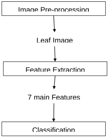 Fig. 2. Main stages of System. 
