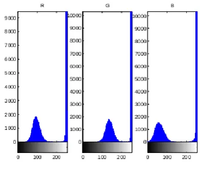 Fig. 3. RGB Histogram  