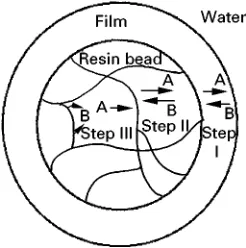 Figure 2Possible rate-determining steps in an ion exchangeprocess. Step I, diffusion of ions through a surface film