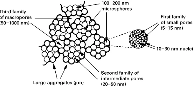 Figure 6Scanning electron micrograph of the internal surface of a macroporous resin. Magnification �17 000