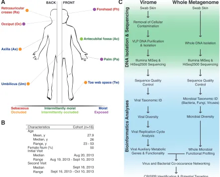 Figure 1 Study design for analyzing cutaneous viral and whole metagenomic 