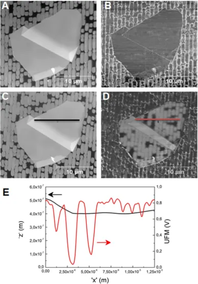 Figure 2: A graphite flake (around 50 nm thick, excluding folded areas) transferred onto a structured COC film