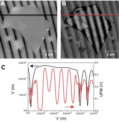 Figure 3: (A) The topography image of a MoS2 flake (around 15nm thick, excluding folded areas) placed on a ridge-structured COC film