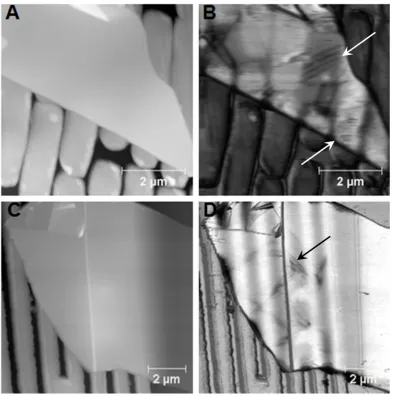Figure 4: (A) Topography image of a graphite flake (around 50nm thick, excluding folded areas) on a randomly structured COC film