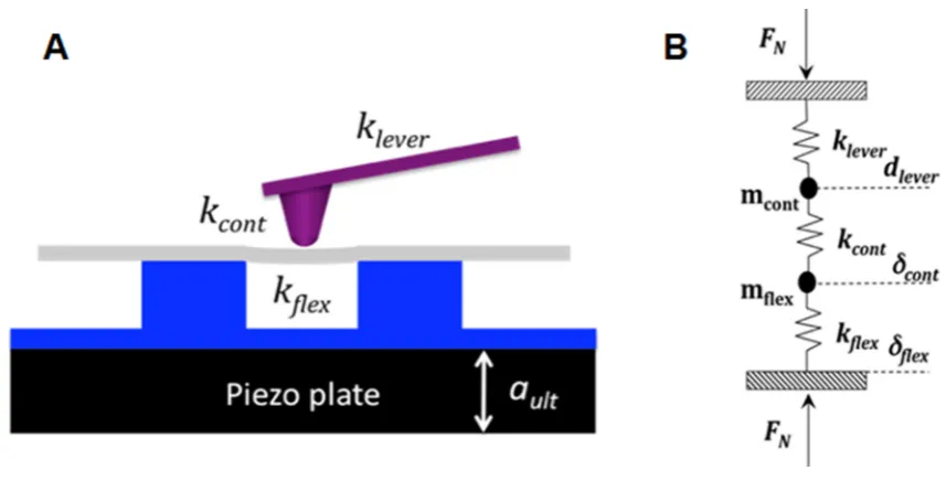 Figure 5: (A) A schematic drawing of a tip in contact with a suspended region of the 