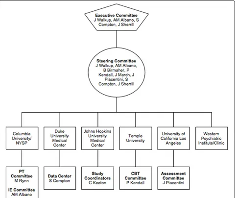 Figure 2 Child/Adolescent Multimodal Study (CAMS) Organizational Structure and Performance Sites.