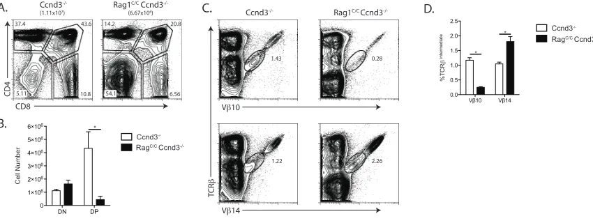 Figure 2.4  