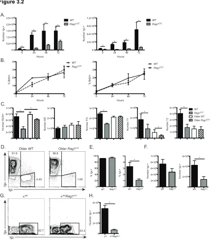 Figure 3.2  