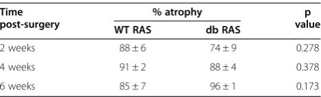 Table 1 Percent atrophy of the stenotic kidney of wildtype (WT) and diabetic (db) mice with RAS at 2, 4, and6 weeks post-surgery