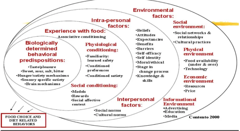 Figure 1.  Contento's Model of Influences on Food Choices 