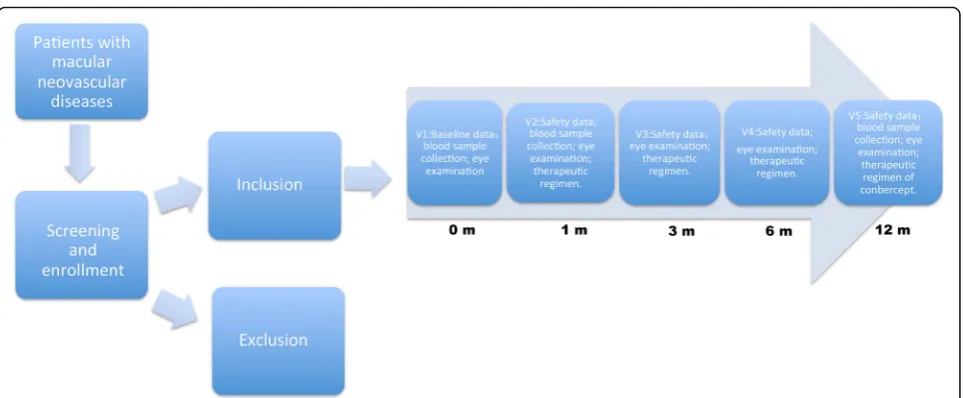 Fig. 1 Flowchart of recruitment and observation procedures of this study. 1 m, 3 m,6 m, and 12 m means 1 month, 3 months, 6 months, and12 months after Conbercept treatment