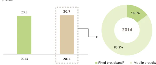 Figure 2.5 Broadband Subscriptions 