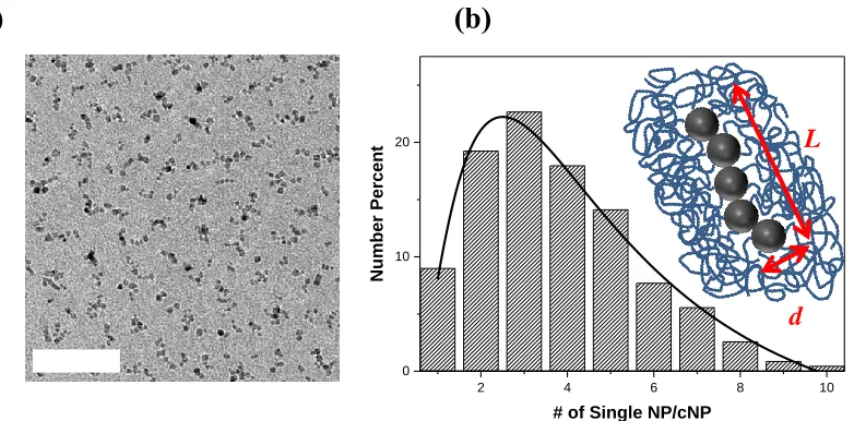 Figure 4.1 . (a) Chained nanoparticles (cNP) drop-cast on a TEM grid. The scale bar is 100 nm