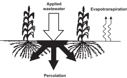 Figure 2. Conceptual schematic of rapid infiltration systemFigure 1. Conceptual schematic of spray irrigation system