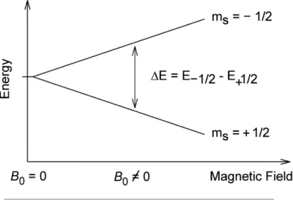 Figure 1.2: External magnetic ﬁeld induced splitting of spin states