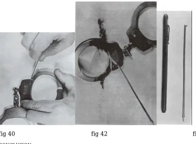 fig 40                                          fig 42                                               fig 41