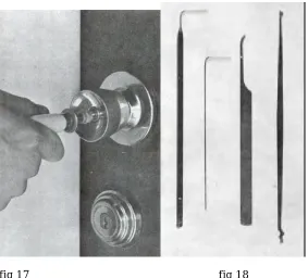 fig 17                                                         fig 18