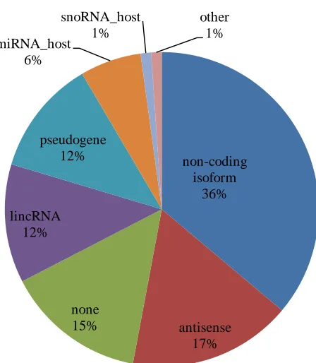 Fig 3.2: Functional groups for conserved ncRNAs 