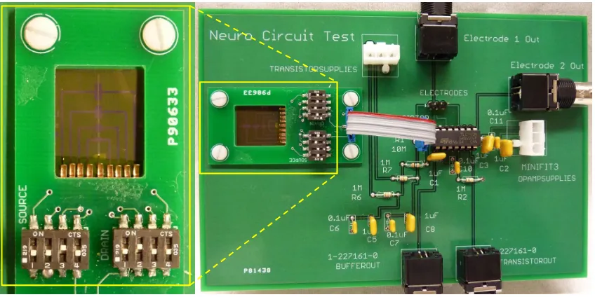 Figure 2-2.  The dual PCB board design. The large board contains all elements of the circuit excluding the transistor: the amplifying resistor, low-pass power supply filters, output buffer and high-pass filter, and input/output components
