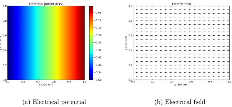 Figure 7.2: Electrical potential and electrical ﬁeld when ψapp = 0. Mesh: 101x101.